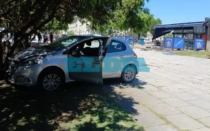 Milagro en Plaza Moreno: sufrió un paro cardíaco, chocó contra el local de comidas y se estrelló contra un árbol en La Plata