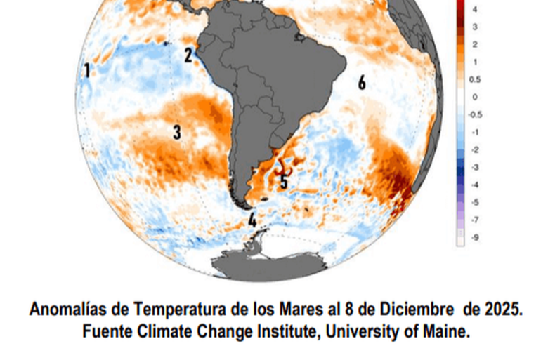 De La Niña a la neutralidad: el clima abre oportunidades, pero exige cautela al campo