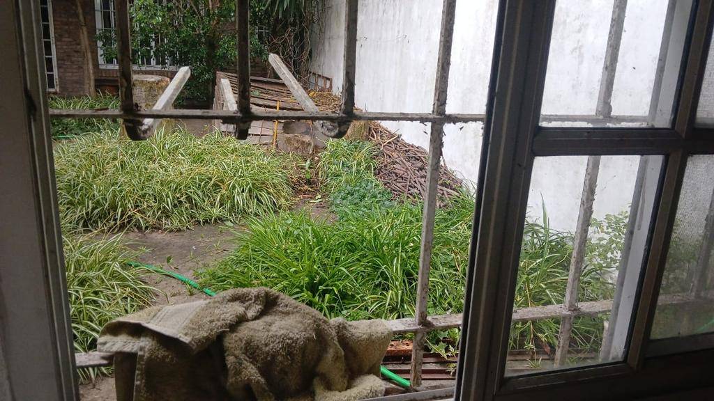 La “Banda del Tiburón”, una amenaza en La Plata