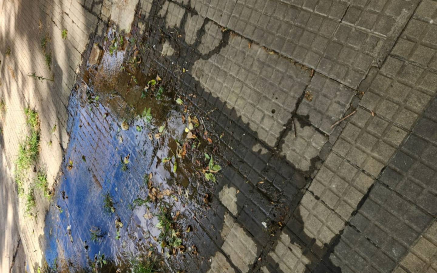Pérdida de agua en La Loma