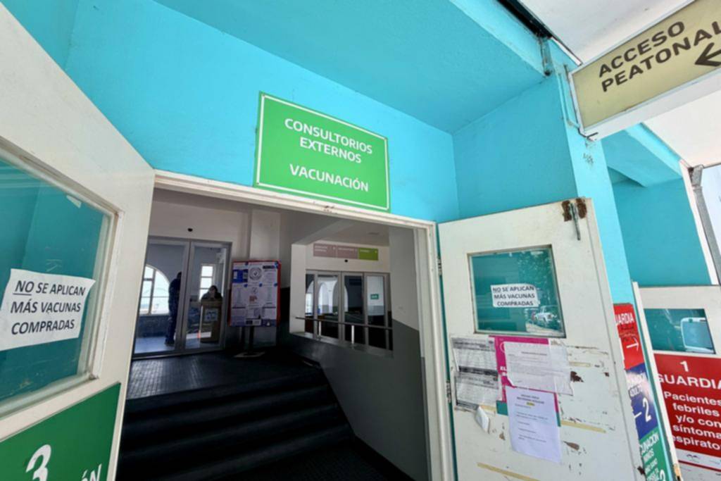 Alerta por la nueva gripe: la vacuna, protección principal