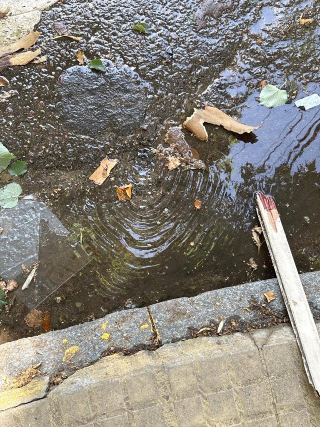 Falta agua en barrios enteros, pero sale de abajo del asfalto en 3 y 54