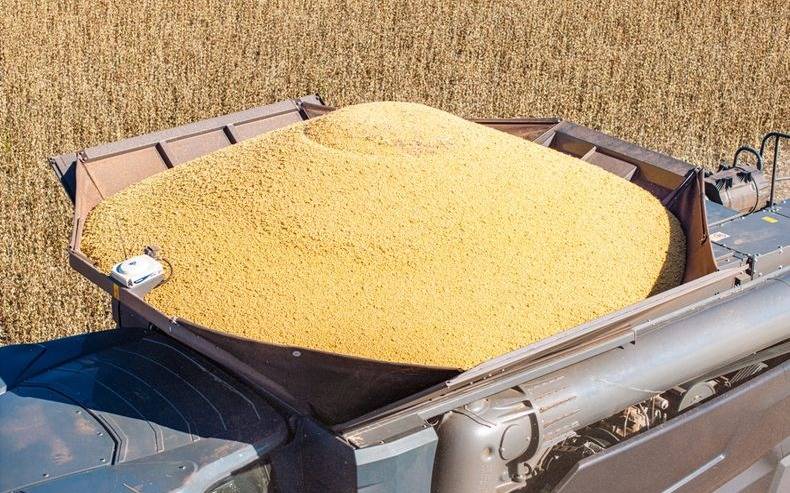 Menor presión fiscal: la renta agrícola registra su nivel más bajo en siete años