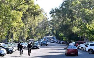 La ONG Nuevo Ambiente, contra el enrejado del Bosque: "Costaría millones de dólares y no solucionaría la inseguridad"