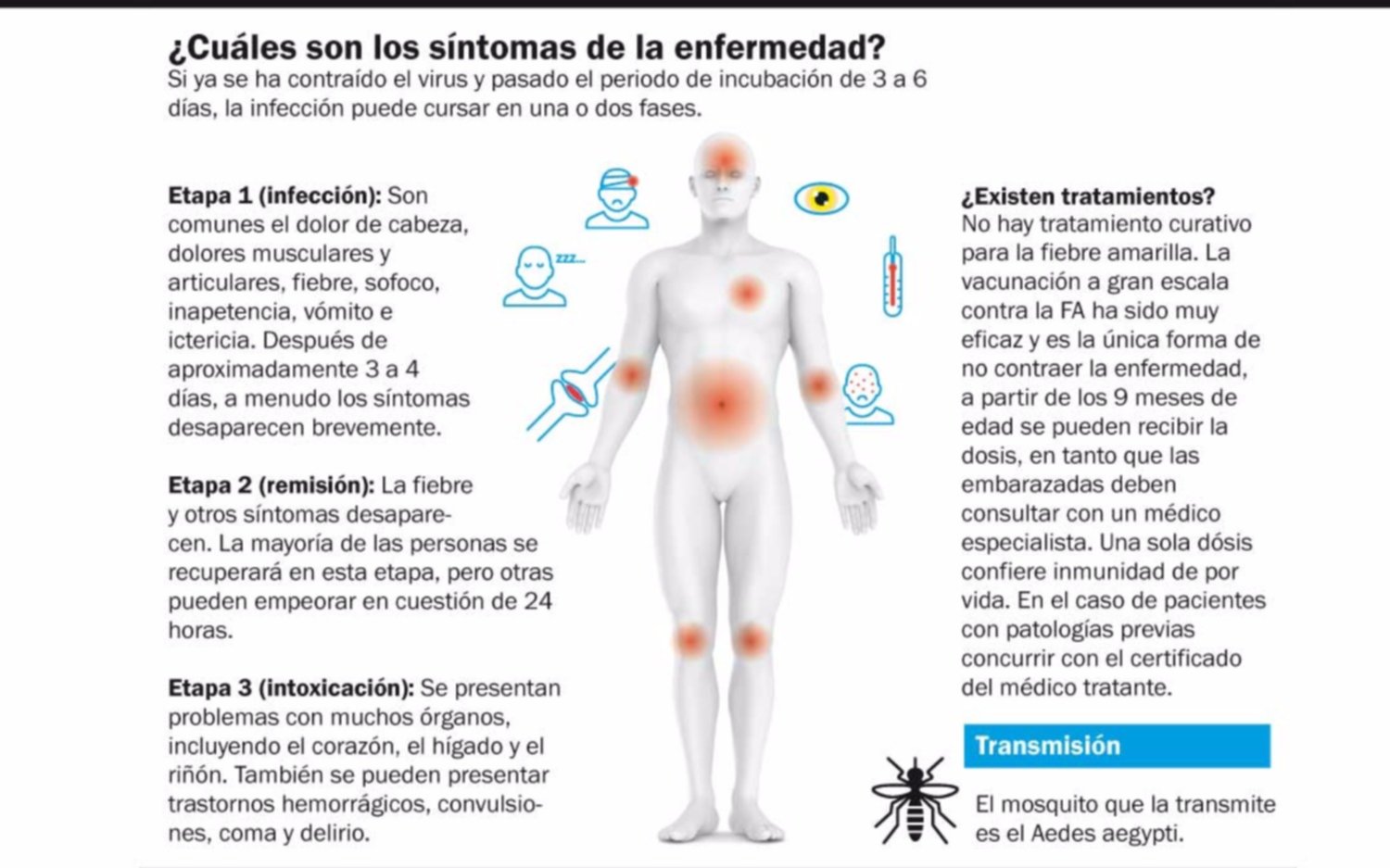 Fiebre amarilla: ya son dos las víctimas fatales y un joven trasplantado está grave