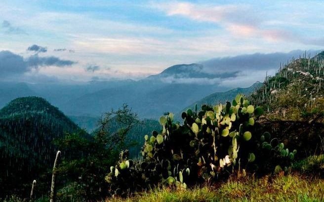 Ya son Patrimonio de la Humanidad otros 19 sitios protegidos en el mundo