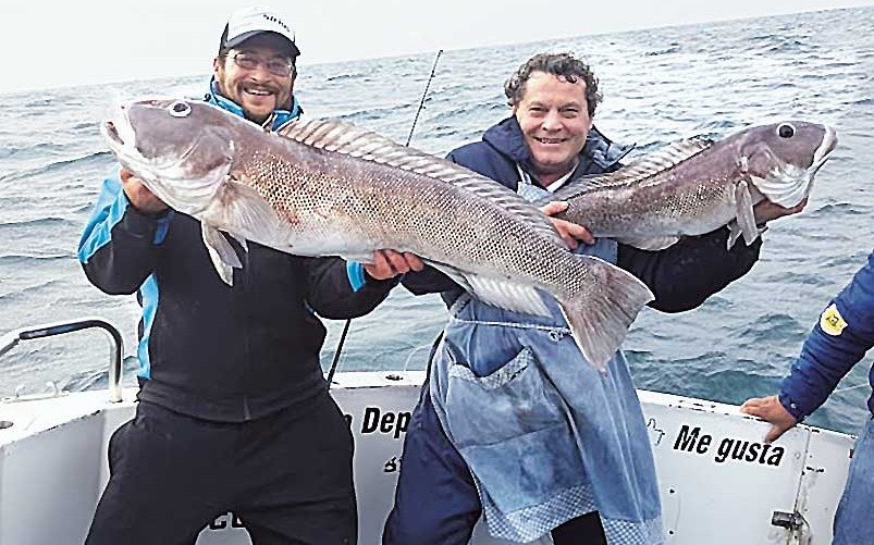 La pesca de salmón en Mar del Plata, un verdadero deleite