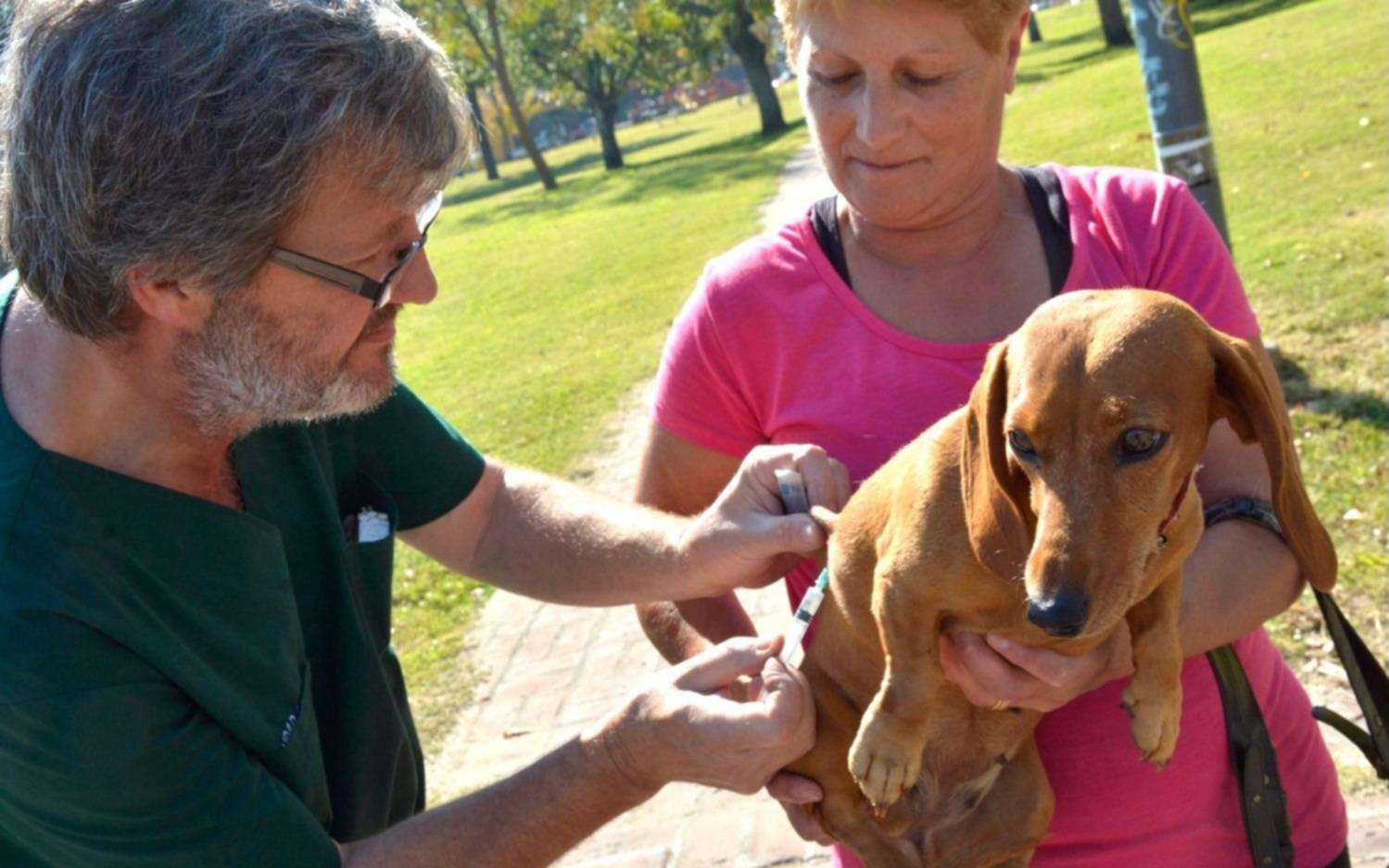 Jornadas de desparasitación y vacunación de mascotas