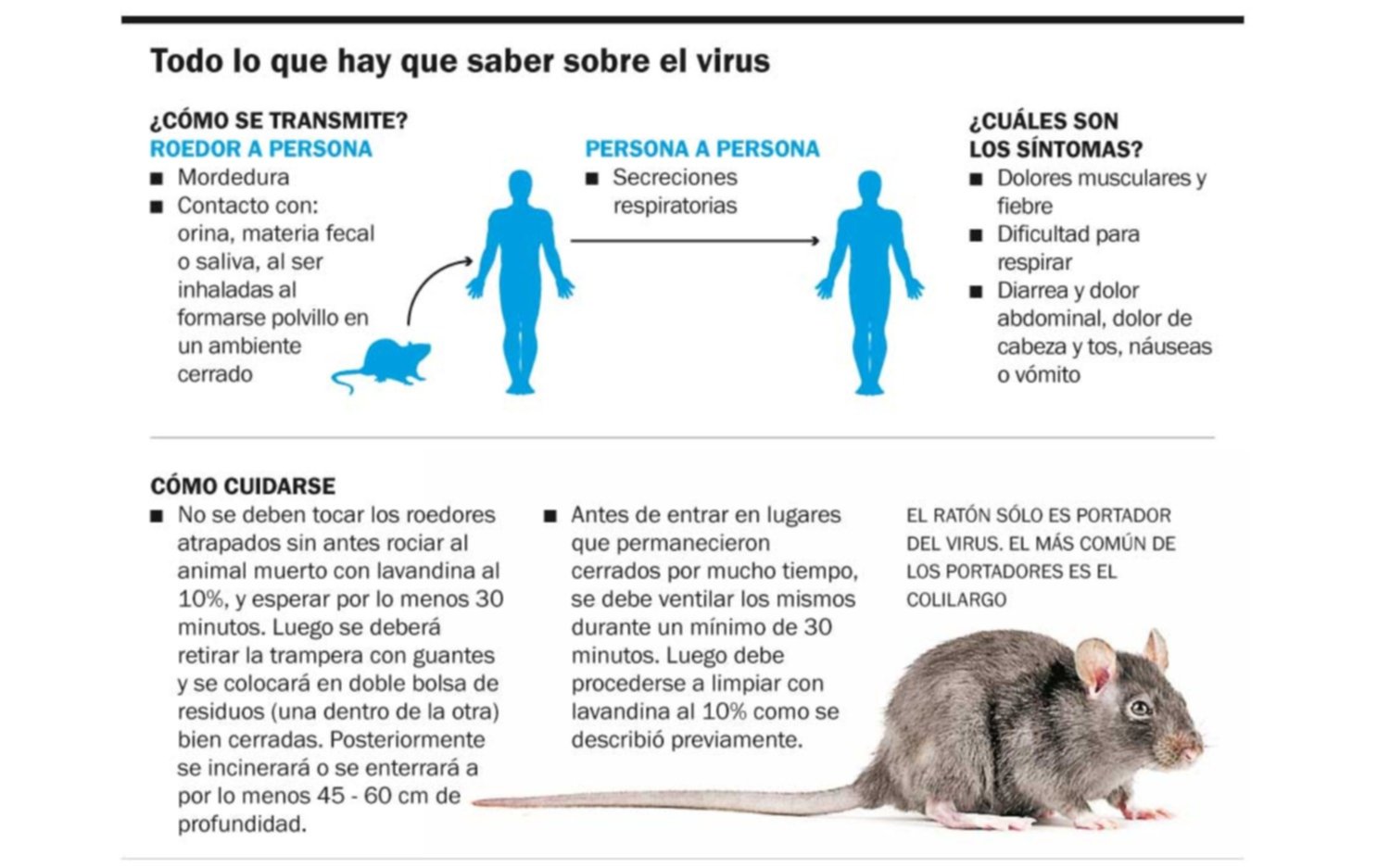 Qué pasaría en La Plata con un brote de hantavirus como el de Chubut