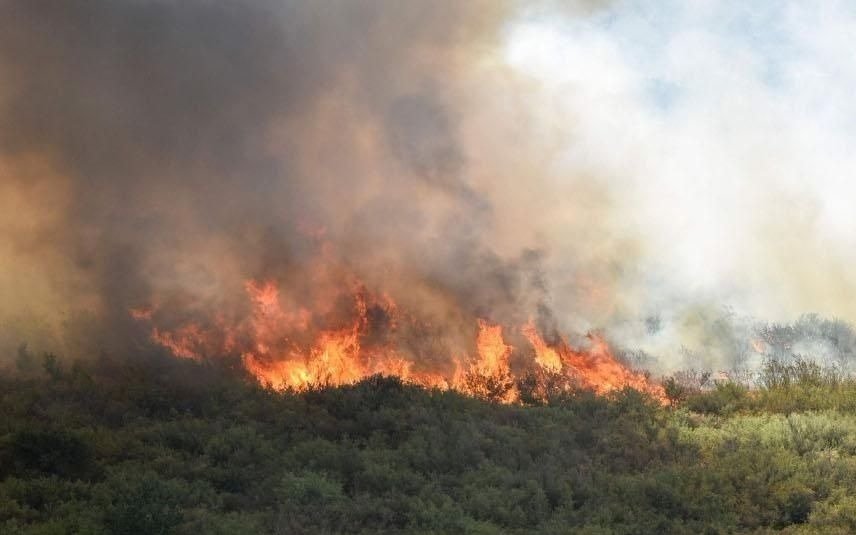 Luchan contra un incendio declarado en la comarca de Lago Puelo