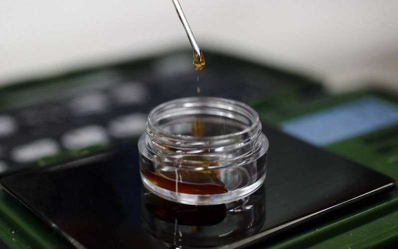 Recurren a la Justicia para que el Estado les brinde aceite de cannabis