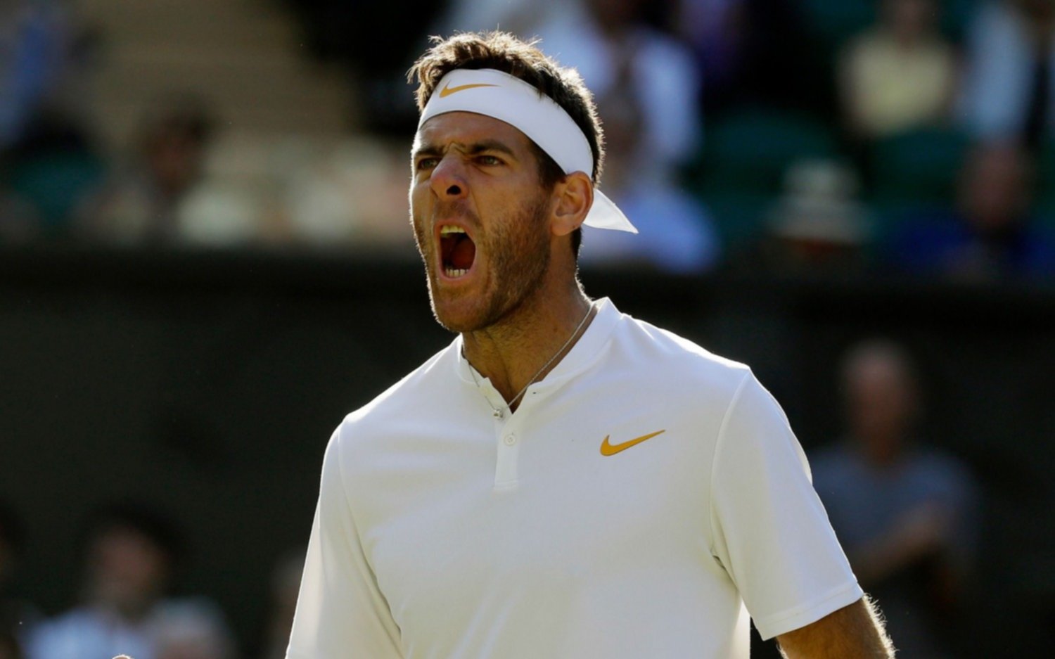 La lluvia demoró el debut de Del Potro en Queen’s