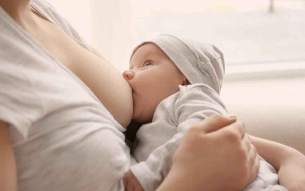 Se inicia la Semana de la Lactancia y alertan que solo 4 de cada 10 bebés son amamantados