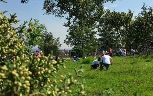 Con una reforestación colectiva y un foro ambiental, en La Plata se conmemora el Día del Árbol