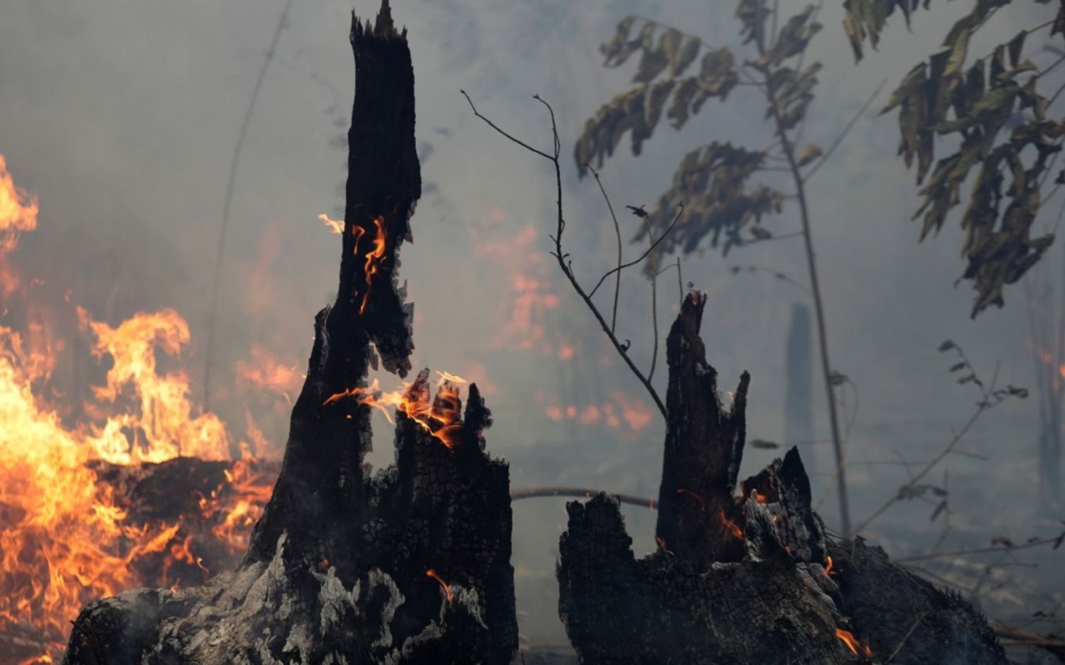 Continúa en aumento el número de incendios en la Amazonia
