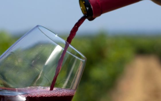 El vino tinto podría enriquecer la flora intestinal, según estudio
