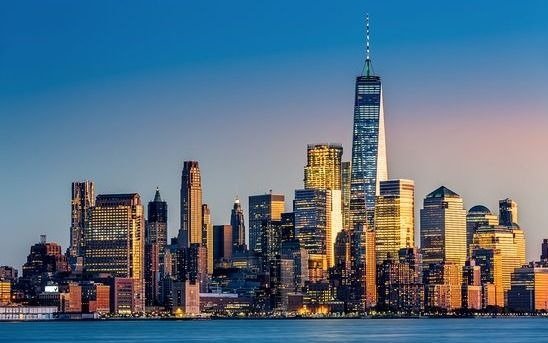 Nueva York combate contra una invasión de ratones, ahogándolos en alcohol