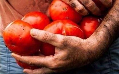 Chocolates y parrilladas en el primer festival de productos veganos