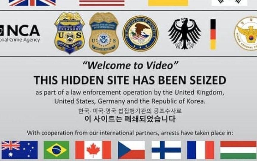 Cayó la mayor red mundial de pornografía infantil
