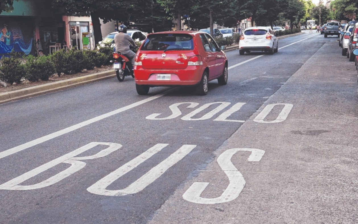Los carriles para colectivos, lejos de ser exclusivos: en la calle manda el vale todo