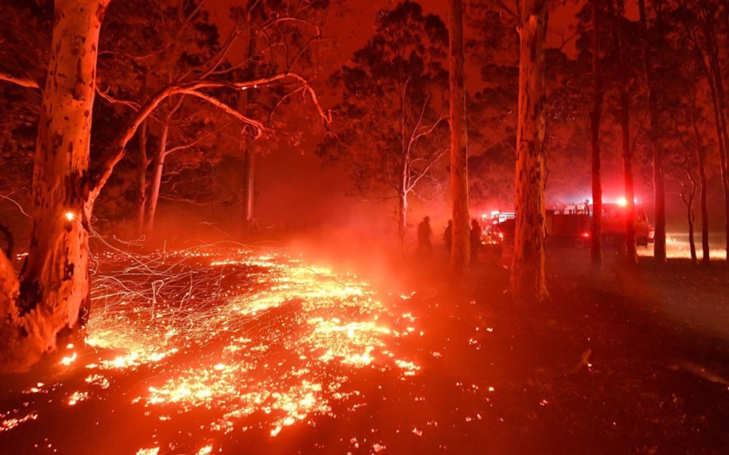 Los incendios forestales en Australia causaron ya la muerte de 16 personas