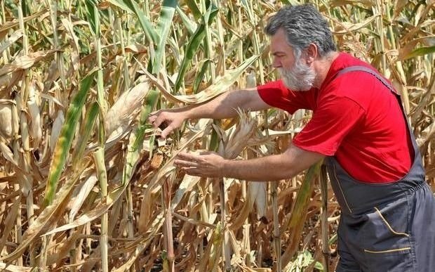 Productores agropecuarios de Córdoba, en alerta permanente