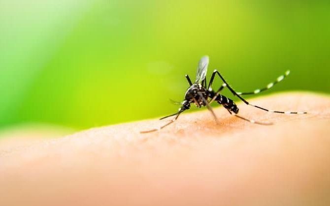 Inquietos por el dengue, vecinos piden fumigaciones