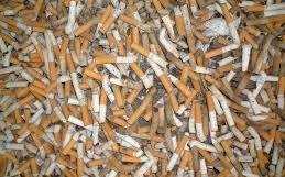 Juntan colillas de cigarrillos en las playas de Necochea
