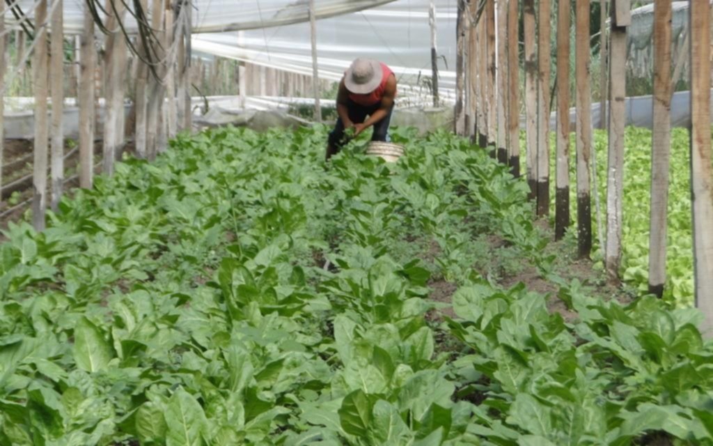 Los productores de Olmos tendrán una oficina móvil