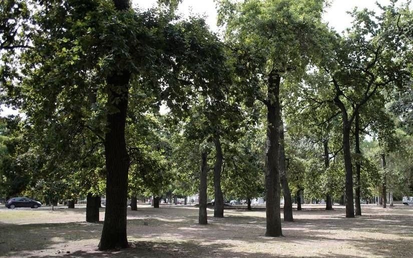 Anotan para los talleres que arrancan en el Parque Ecológico