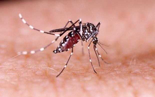 La primera dama de Paraguay tiene dengue