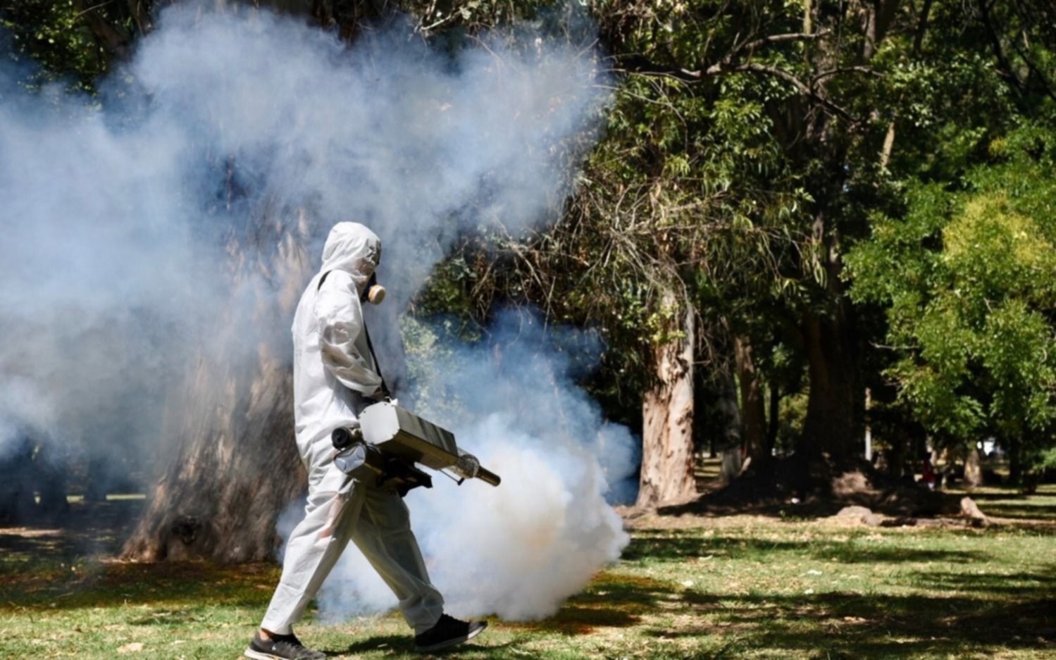 Continúan las tareas de fumigación en distintos barrios berissenses