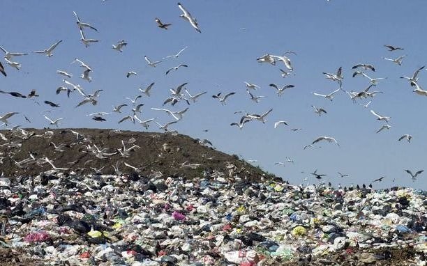 Por una deuda con la Ceamse peligra la recolección de residuos