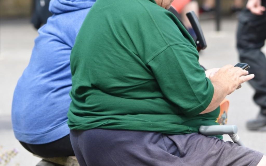 Las patologías asociadas a los casos fatales en la Provincia