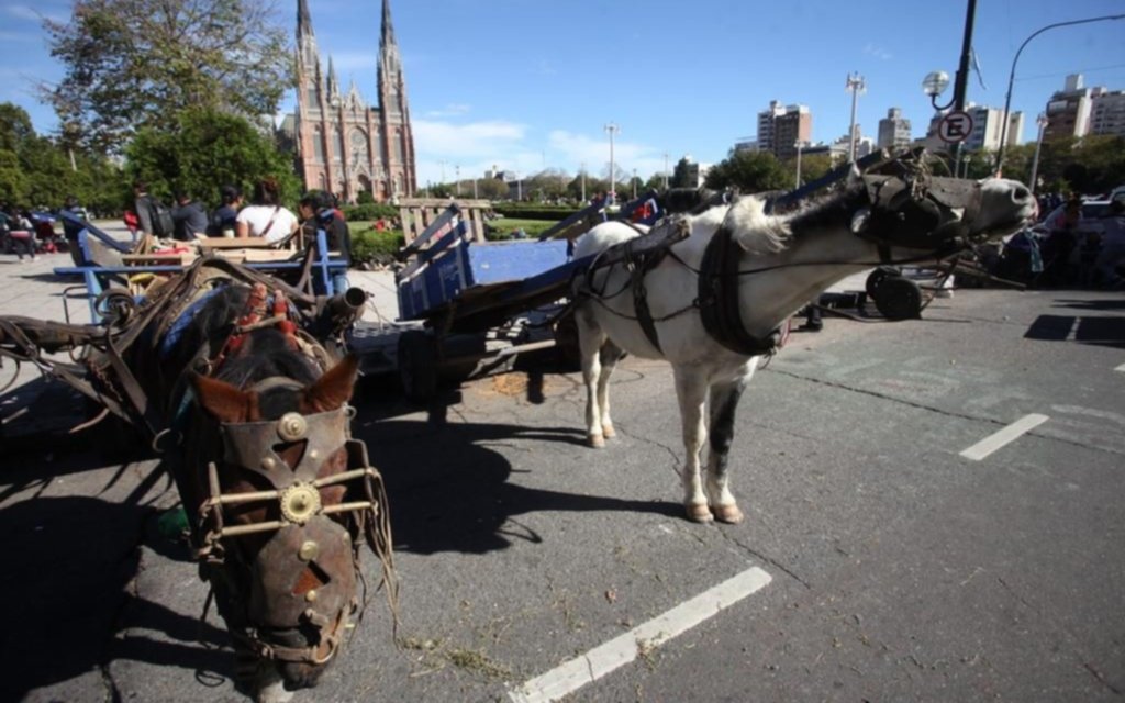 Cartoneros describen un panorama “desolador” y buscan retomar las salidas