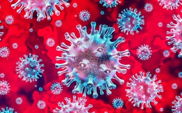 Logran identificar la secuencia genética de 26 cepas del virus