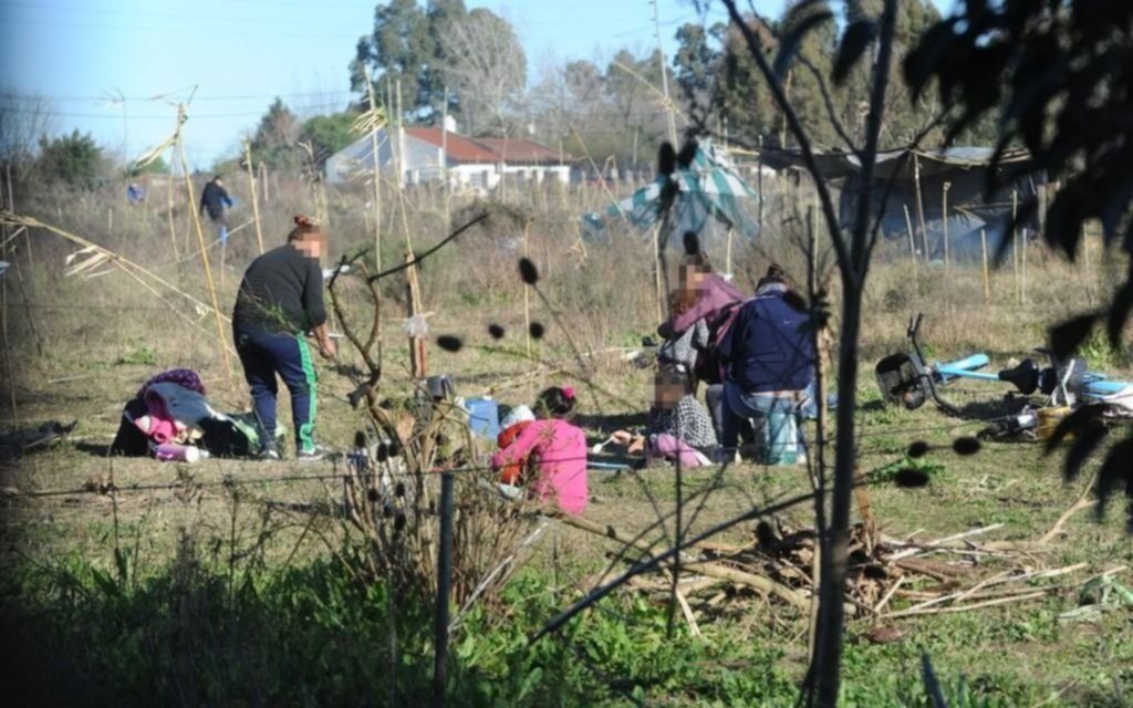 Siguen usurpando lotes y tierras privadas y fiscales