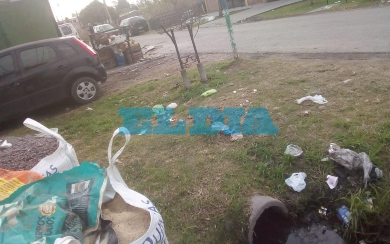 Hartazgo en 139 entre 527 y 528 por la cantidad de basura en las veredas