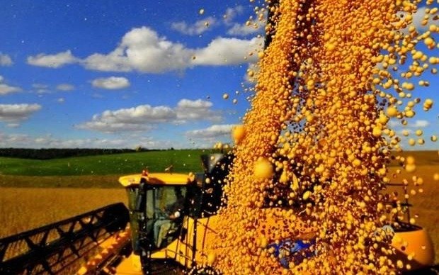 La venta interna de maquinarias agrícolas creció un 5 por ciento