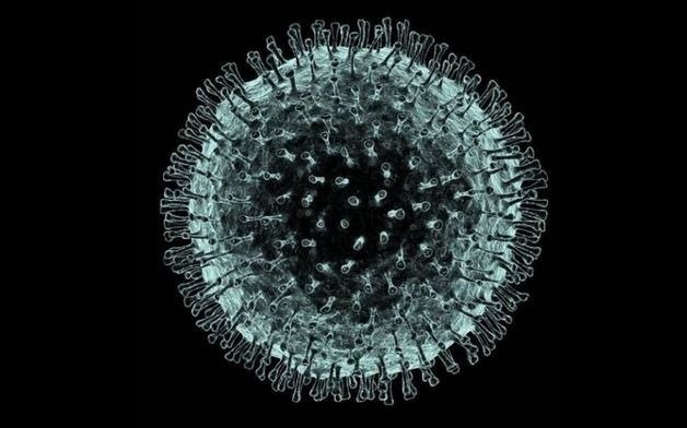 Científicos británicos avisan que el virus vino para quedarse