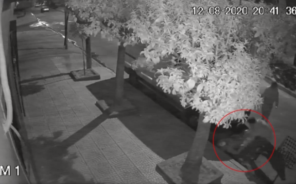 La asaltaron y perdió el embarazo: cayó un menor
