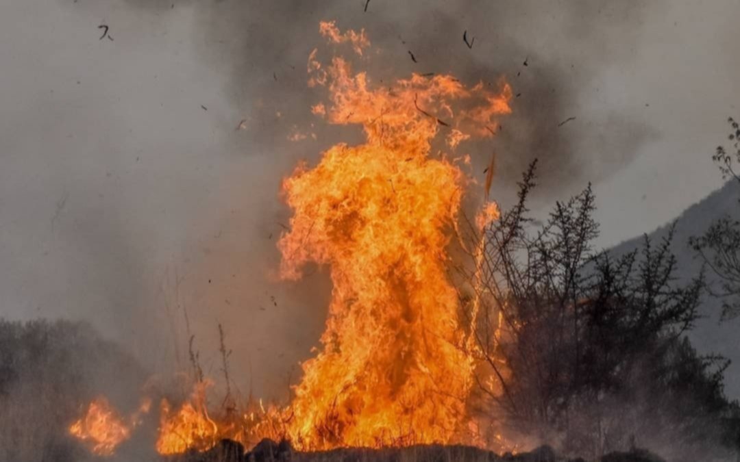 Los incendios forestales de California alcanzan proporciones históricas