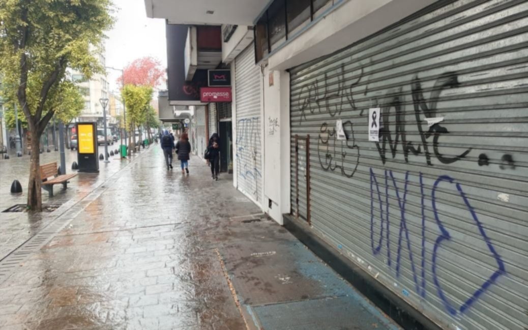 La Plata espera el aval de Provincia para concretar la peatonalización del comercio
