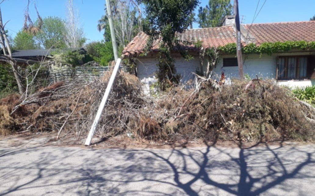 Dicen que no juntan ramas acumuladas desde enero     en 133 entre 464 y 467