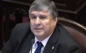 El jefe del bloque oficialista del Senado, contra el aborto legal