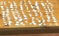 Arturo Seguí: allanamientos y capturas por robos y venta de droga