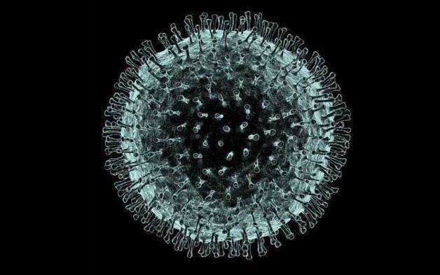En Palestina hablan de una “situación catastrófica” a causa del virus