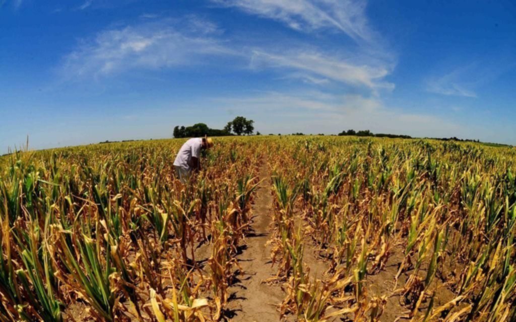 Por efecto de “La Niña” creen que la sequía se extenderá más