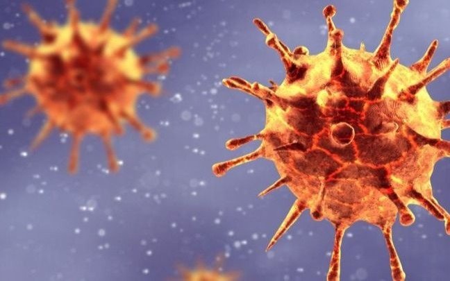 Ya circula en Argentina una variante del coronavirus