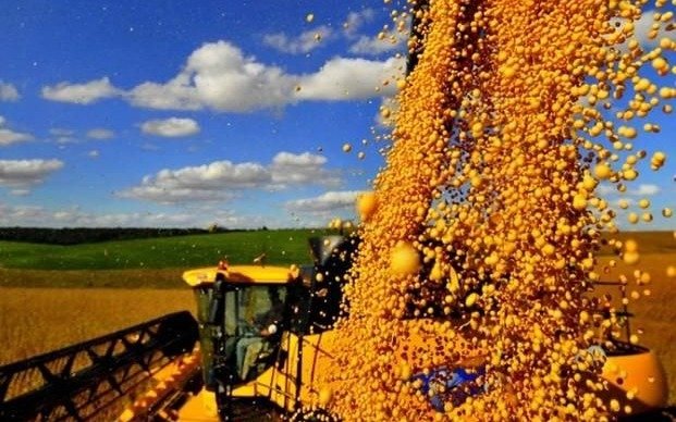 El campo tracciona a la economía y la soja se convierte en el salario del país
